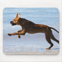 Rhodesian Ridgeback - Leap Mouse Pads