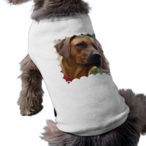 Rhodesian Ridgeback Pet Shirt