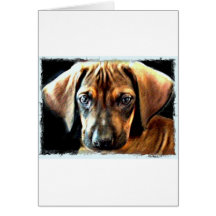 rhodesian ridgeback puppy greeting card