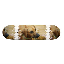 Rhodesian Ridgeback Puppy Skateboard