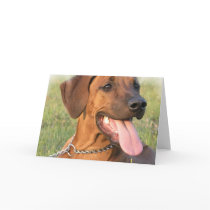 Rhodesian Ridgeback Rescue Greeting Card