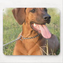 Rhodesian Ridgeback Rescue Mouse Pad