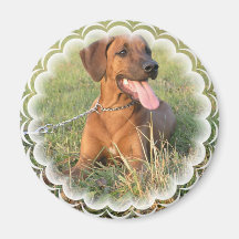Rhodesian Ridgeback Rescue Round Magnet