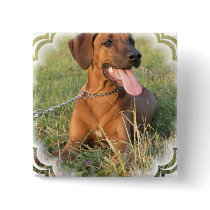Rhodesian Ridgeback Rescue Square Pin