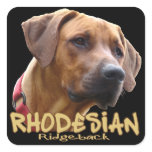 Rhodesian Ridgeback stickers