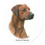 Rhodesian Ridgeback stickers