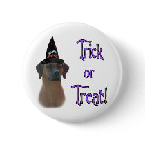 Rhodesian Ridgeback Trick