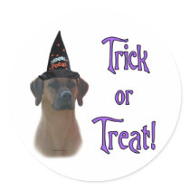 Rhodesian Ridgeback Trick
