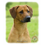 Rhodesian Ridgeback t-shirts