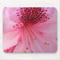 RHODIES Azalea Flowers MOUSE PADS MOUSEPAD