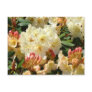Rhodies Yellow Cream Orange Rhododendro Flowers