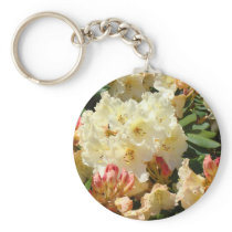 Rhodies Yellow Cream Orange Rhododendrum Flowers
