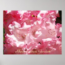 Rhododendron Garden art prints gifts Pink Rhodies