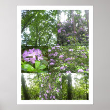 Rhododendron in woods print