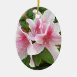 Rhododendron-Pink-3 Ornament