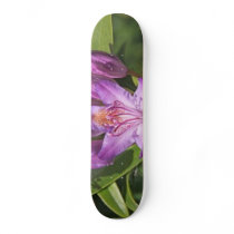 rhododendron skate board decks
