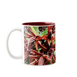 Rhody Seeds Coffee Mugs