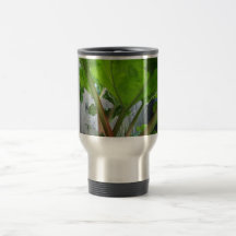 Rhubarb coffeemug