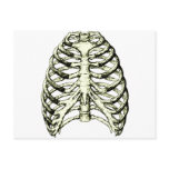 Rib Cage Bronze postcards