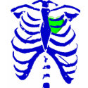 rib cage heart t-shirts