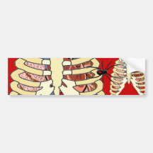 Rib Cage Lungs & Heart Bumper Stickers