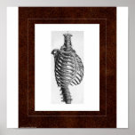 Rib Spirit House posters