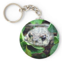 Ribbit, Ribbit Key Chain