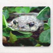 Ribbit, Ribbit Mousepad