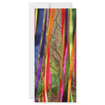 Ribbon Streamers rack cards