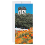 Ribeira Grande, Azores rack cards