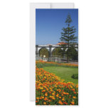 Ribeira Grande gardens rack cards