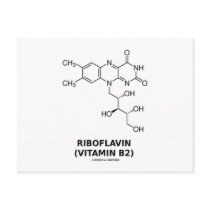 Riboflavin (Vitamin B2) Chemical Molecule