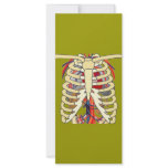 Ribs Veins Enlarged Heart rack cards