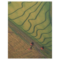Rice harvesting flyer