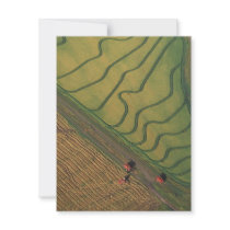 Rice harvesting personalized invite