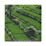 Rice paddy fields, Bali, Indonesia Fridge Magnets