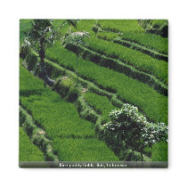 Rice paddy fields, Bali, Indonesia Fridge Magnets