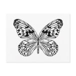 Rice Paper Butterfly Postcard