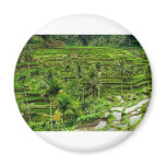 Rice terrace in Bali magnets
