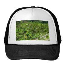 Rice terrace in Bali Mesh Hats
