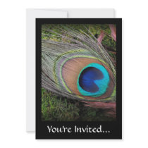 Rich, Elegant Peacock Feather Photograph Custom Invites