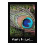 Rich, Elegant Peacock Feather Photograph Custom Invites
