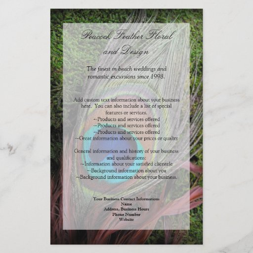 Rich Peacock Feather with Green Moss Flyer