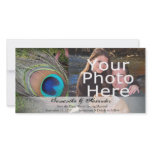 Rich Peacock Feather with Green Moss Photo Cards