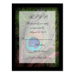 Rich Peacock Feather with Green Moss RSVP Reply Post Card