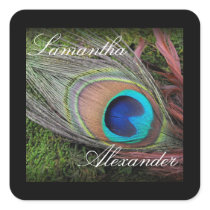 Rich Peacock Feather with Green Moss