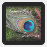 Rich Peacock Feather with Green Moss Square Sticker