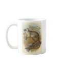 Richard Lydekker - Queensland Tree-Kangaroo Promo mugs