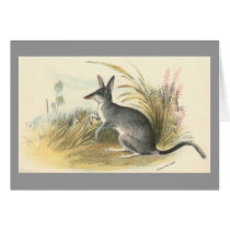Richard Lydekker - Rabbit Bandicoot - Bilby Greeting Card
