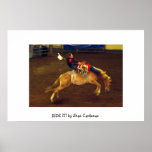 RIDE IT! posters